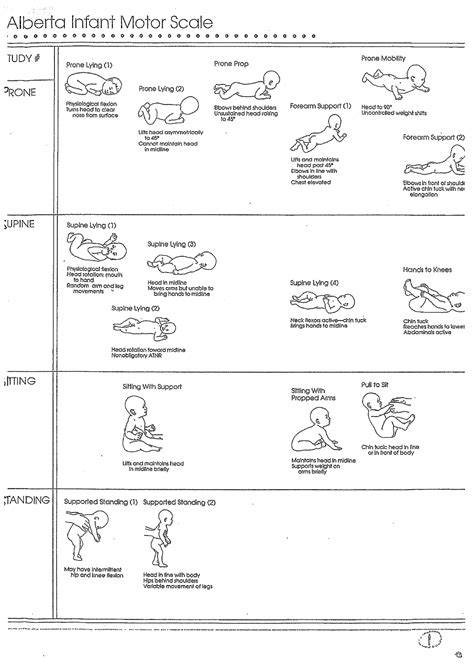 alberta infant motor scale scoring sheet pdf